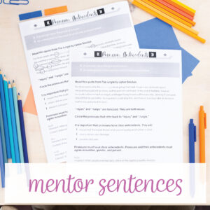 grammar mentor sentences