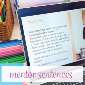 Mentor sentences add nicely to middle school grammar activities. 
