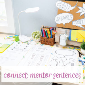Mentor sentences are a great activity to add to noun lesson plans or a noun unit.