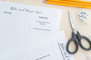 active and passive voice bundle