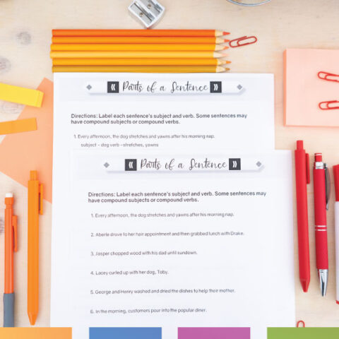 Parts of a Sentence Worksheets | Subject, Verb, Direct Object ...