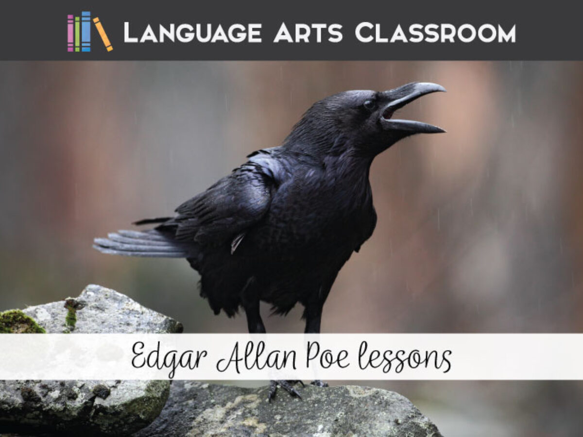 Edgar Allan Poe School of Languages