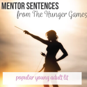 The Hunger Games has beautiful mentor sentences