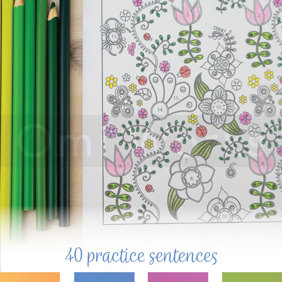 Types of Sentences Coloring Activity | Interrogative, Declarative, Imperative, Exclamatory - Image 4