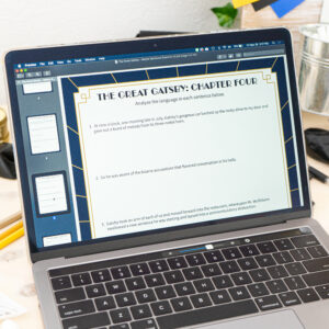 The Great Gatsby study of the language